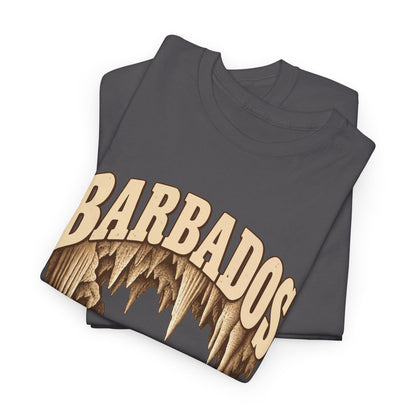 Folded Charcoal Barbados Fresh Prints T-shirt showing cream collegiate BARBADOS lettering above pale cave formations.