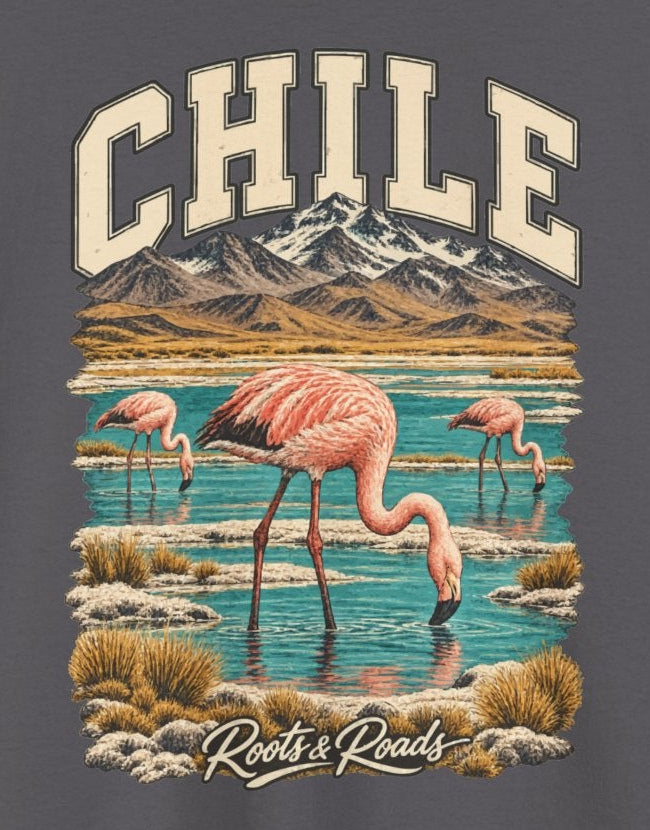 Print detail cropped from the Charcoal Chile supplier T-shirt mockup, showing cream CHILE lettering above pink flamingos in a blue salt lagoon beneath mountain ridges and Roots & Roads script.